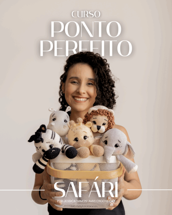 Ponto perfeito Safari / Curso